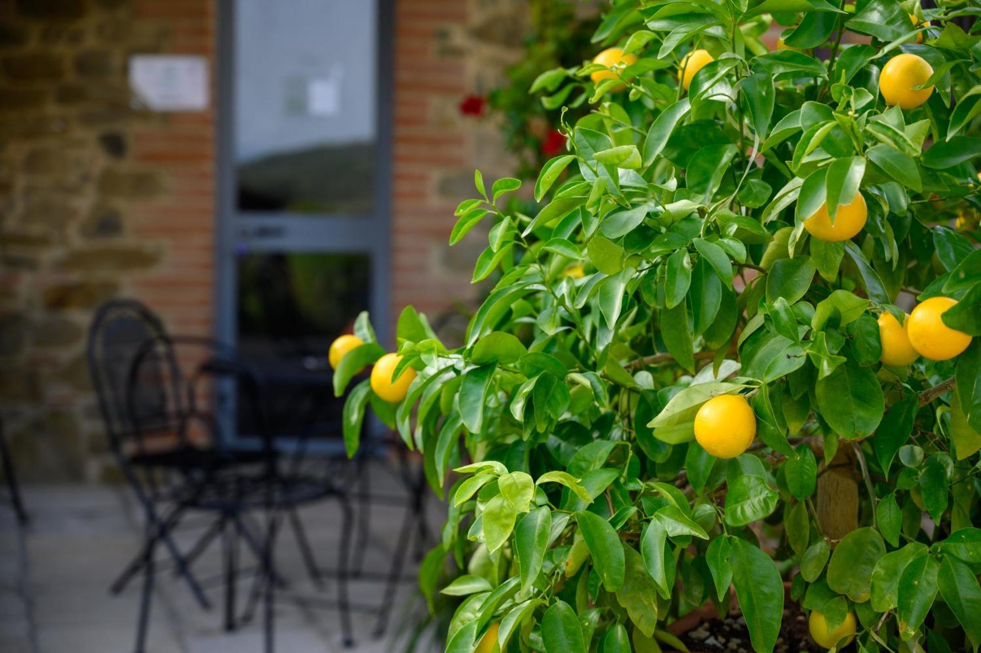 Agriturismo Borgo Sant'Ercolano Ciggiano Kültér fotó
